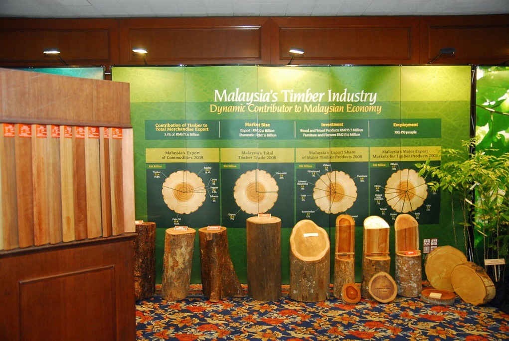 Actual tree trunks and timber samples against a backdrop of the contribution of the industry to the national economy